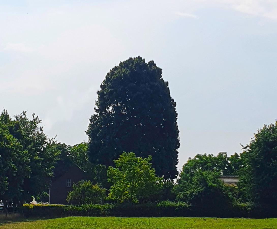B&B De Nieuwenhof 'De Voorkamer' Melderslo Zewnętrze zdjęcie