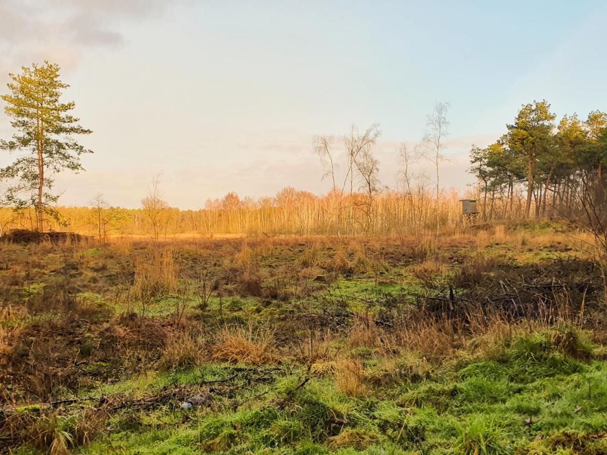 B&B De Nieuwenhof 'De Voorkamer' Melderslo Zewnętrze zdjęcie