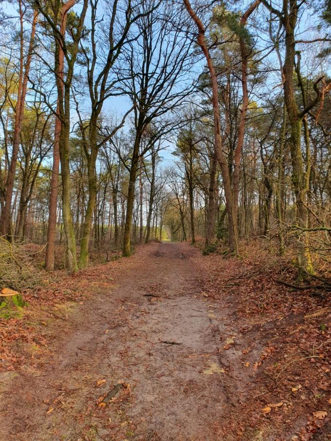 B&B De Nieuwenhof 'De Voorkamer' Melderslo Zewnętrze zdjęcie